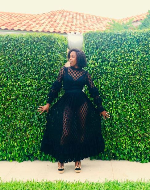 Bashful Sheer Maxi Dress