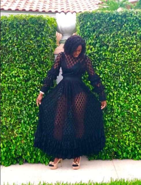 Bashful Sheer Maxi Dress