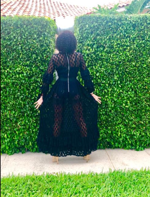 Bashful Sheer Maxi Dress