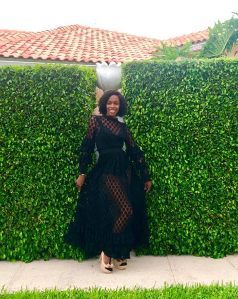 Bashful Sheer Maxi Dress